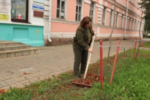 Областной субботник